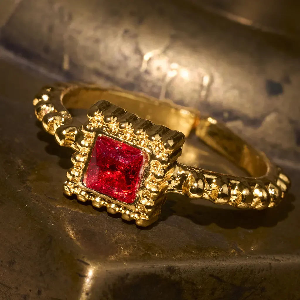 Anillos